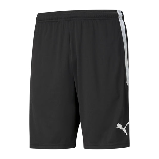 TeamLiga Training Shorts