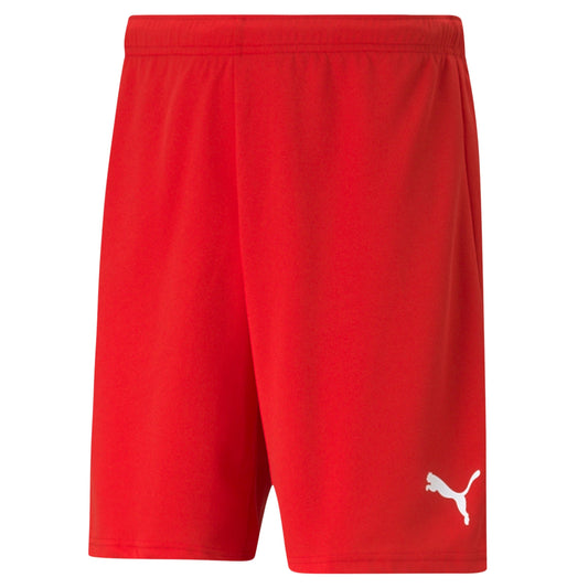 TeamRise Shorts