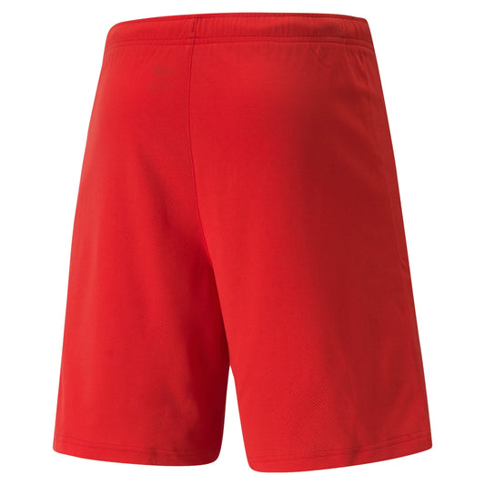 TeamRise Shorts