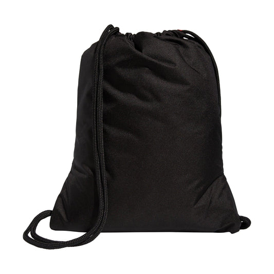 Alliance II Sackpack