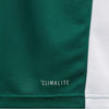 Entrada 18 Junior Jersey