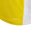 Entrada 18 Junior Jersey