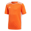 Entrada 18 Junior Jersey