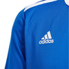 Entrada 18 Junior Jersey