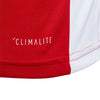 Entrada 18 Junior Jersey