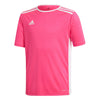 Entrada 18 Junior Jersey