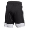 Tastigo 19 Shorts