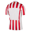 Atlético Madrid Stadium Home Jersey 2025/26
