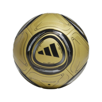 Messi Training Ball