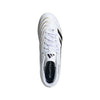 Predator Club Multi Ground Cleats