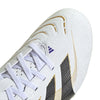 Predator Club Multi Ground Cleats