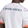 FC Bayern Munich Authentic Away Jersey 2025/26