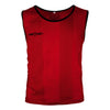 Soccer Pinnie