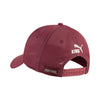 Portugal FPF King Trucker Cap 2026/27
