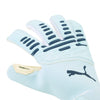 Future Pro Hybrid Goalkeeper Gloves