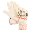 Future Match Negative Cut Goalkeeper Gloves