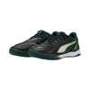 Ibero V Indoor Soccer Shoes