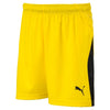 Liga Goalkeeper Shorts