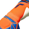 Attrakt Gold X Evolution Goalkeeper Gloves