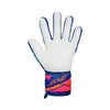 Attrakt Grip Goalkeeper Gloves
