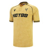 Crystal Palace FC Match Third Jersey 2025/26