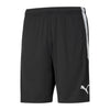 TeamLiga Training Shorts