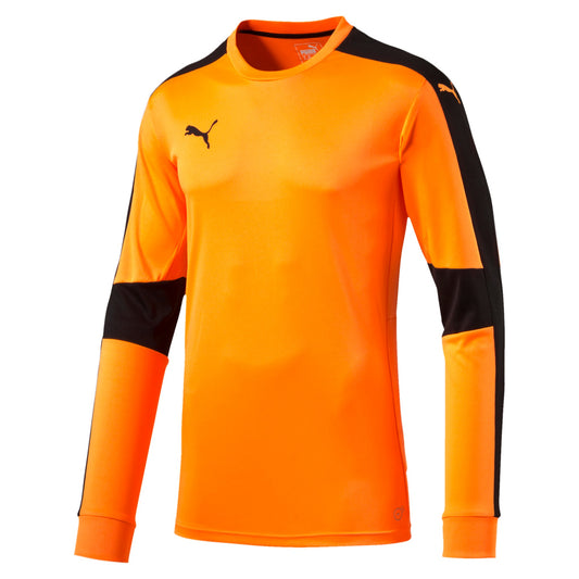 Triumphant Goalkeeper Jersey