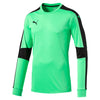 Triumphant Goalkeeper Jersey