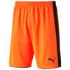 Tournament Goalkeeper Shorts