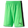 Tournament Goalkeeper Shorts