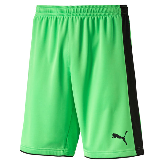 Tournament Goalkeeper Shorts