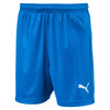 Liga Core Junior Shorts