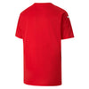 TeamFinal 21 Graphic Junior Jersey