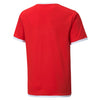 TeamLiga Junior Jersey
