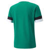 TeamRise Jersey
