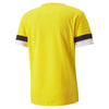 TeamRise Jersey