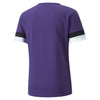 TeamRise Jersey