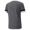 TeamRise Jersey