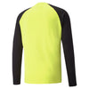 TeamPacer Long Sleeve Goalkeeper Jersey