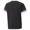 TeamRise Junior Jersey