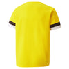 TeamRise Junior Jersey