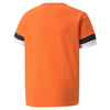 TeamRise Junior Jersey