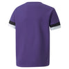 TeamRise Junior Jersey