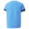 TeamRise Junior Jersey