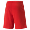 TeamRise Shorts