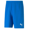 TeamRise Shorts