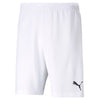 TeamRise Shorts