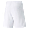TeamRise Shorts