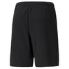 TeamRise Shorts