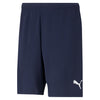 TeamRise Shorts